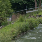 20180618fmt_almkanal_ta_012.JPG