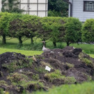 20180618fmt_almkanal_ta_014.JPG