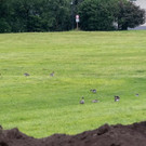 20180618fmt_almkanal_ta_015.JPG