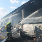 Brand in Hühnerzuchtbetrien in NÖ