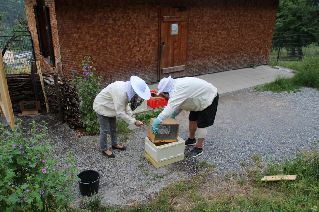 IMG_4588.JPG