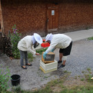 IMG_4588.JPG