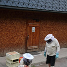 IMG_4597.JPG
