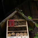 Kennelbach Lischka G DSC01770.JPG