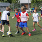 6a.jpg