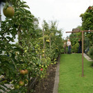 Lauterach Hirlemann G DSC01782.JPG