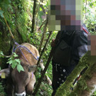 Kalb aus Felswand gerettet