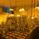 Plantage 04.jpg