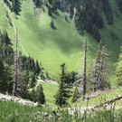 IMG_3034.jpg