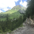 IMG_3038.jpg