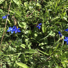 IMG_2984.jpg