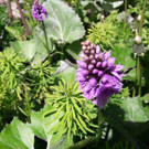 IMG_3073.jpg