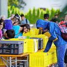 20180622_FMT_B__cher-Flohmarkt_JK_004.JPG