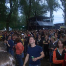 1134506.jpg