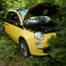 DSCN6347.JPG