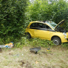 DSCN6349.JPG