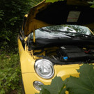 DSCN6354.JPG