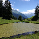 IMG_20180622_140240.jpg