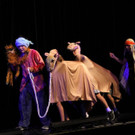 048-IMG_1661.JPG