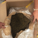 Polizei konnte über 2 Kilo Kokain sicherstellen