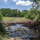20180621_fmt_Verlandeter_See_St_jakob_am_thurn_mw-2.jpg