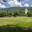 20180621_fmt_Verlandeter_See_St_jakob_am_thurn_mw-5.jpg