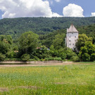 20180621_fmt_Verlandeter_See_St_jakob_am_thurn_mw-6.jpg