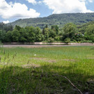 20180621_fmt_Verlandeter_See_St_jakob_am_thurn_mw-8.jpg