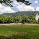 20180621_fmt_Verlandeter_See_St_jakob_am_thurn_mw-10.jpg