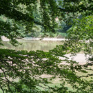 20180621_fmt_Verlandeter_See_St_jakob_am_thurn_mw-12.jpg