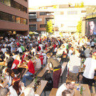 Flax-EM-PublicViewing27.jpg
