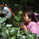 AFP_16P2TR.jpg
