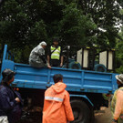 AFP_16P1SE.jpg