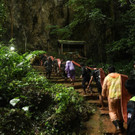 AFP_16P1RW.jpg