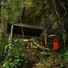 AFP_16P1SB.jpg
