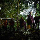 AFP_16N5VX.jpg