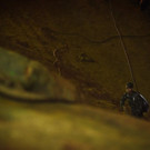 AFP_16N1I6.jpg