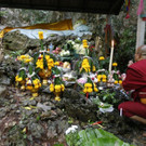 Thailand_Cave_Search_15469.jpg