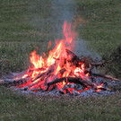 IMG_6900.JPG