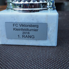 Kleinfeldturnier FC Viktorsberg