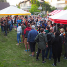 P6234942.JPG