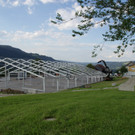 DSC01715.JPG