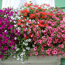 Alberschwende Metzler G DSC01743.JPG