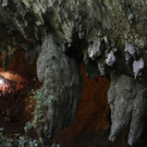 The_Week_That_Was_In_Asia_Photo_Gallery_77562.jpg