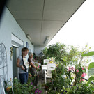 Bregenz J__rg G DSC01801.JPG