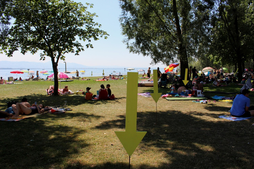 Abfallaktion LITTERING Pfeile Schwarzbad 28-06-2018 _25_.JPG