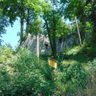 Ruine Neuburg