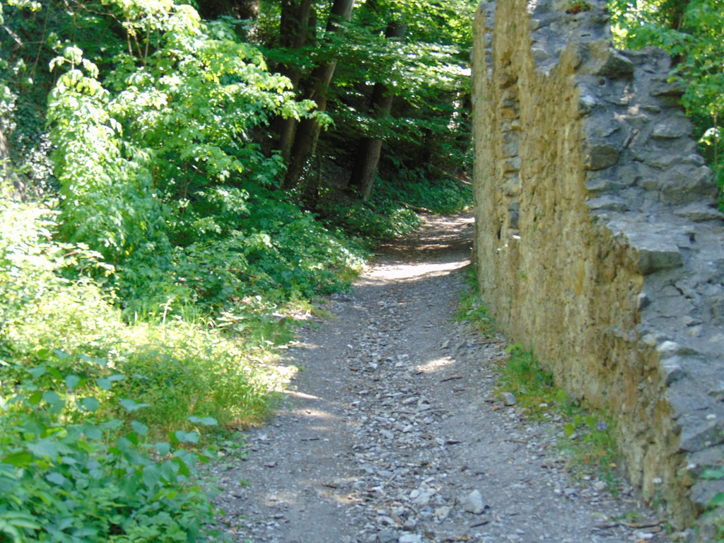 DSC07298.JPG