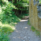 DSC07298.JPG