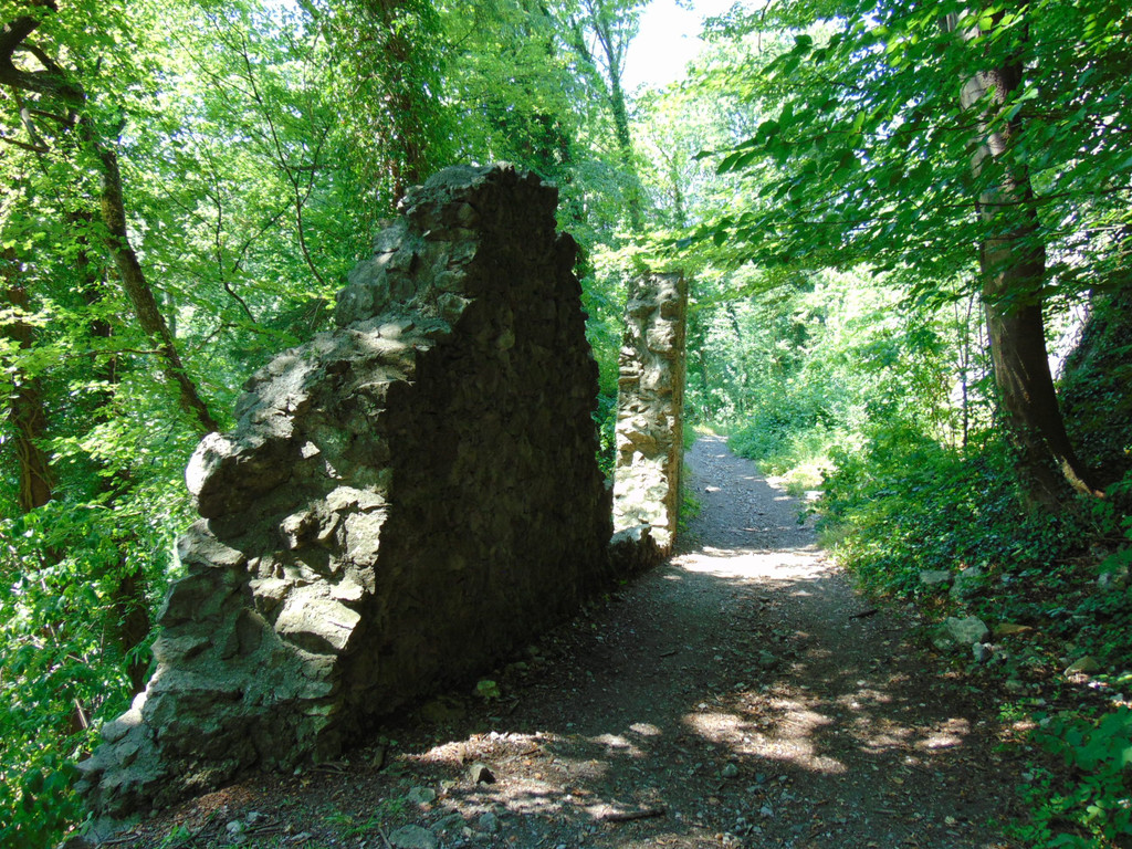 DSC07300.JPG
